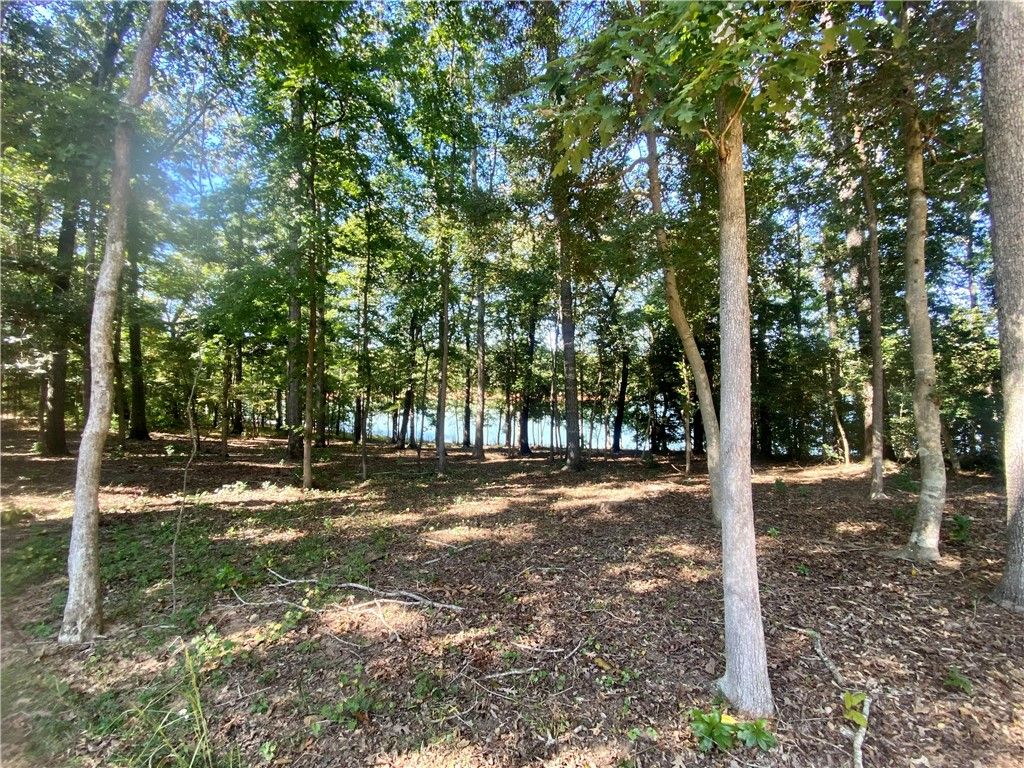 Property image 5 at 101 Lake Terrace, Townville, SC 29689