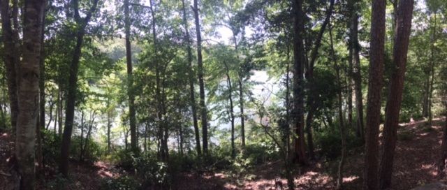 Property image 2 at Lot 15-B Estates at Riverstone, Salem, SC 29676