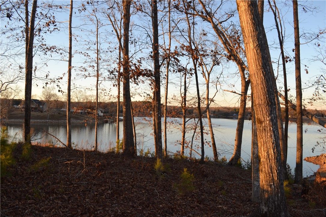 Property image 3 at 0 Waterside Point, Abbeville, SC 29620