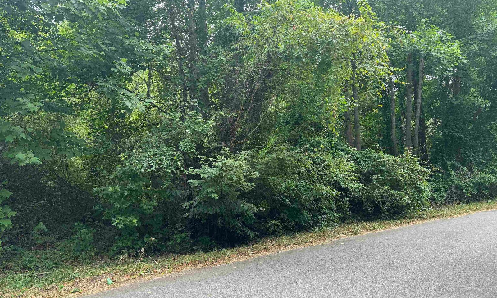 Property image 1 at 0 Chevy Chase Boulevard, Pelzer, SC 29669