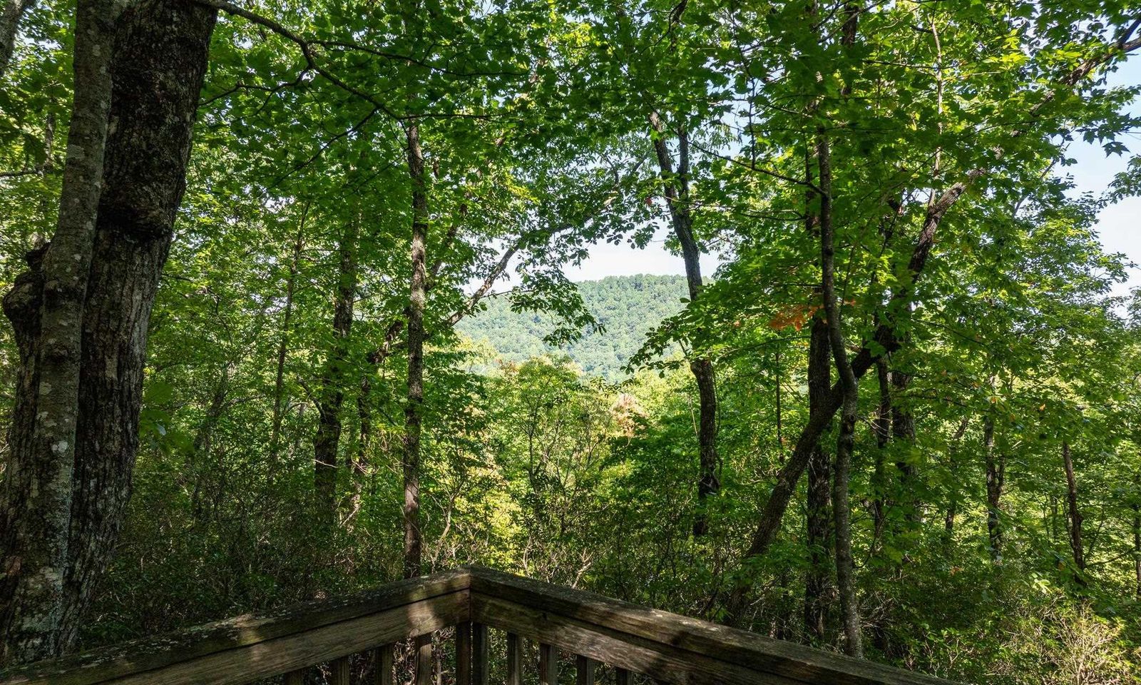 Property image 5 at 0 Panther Mountain Road, Zirconia, NC 28790