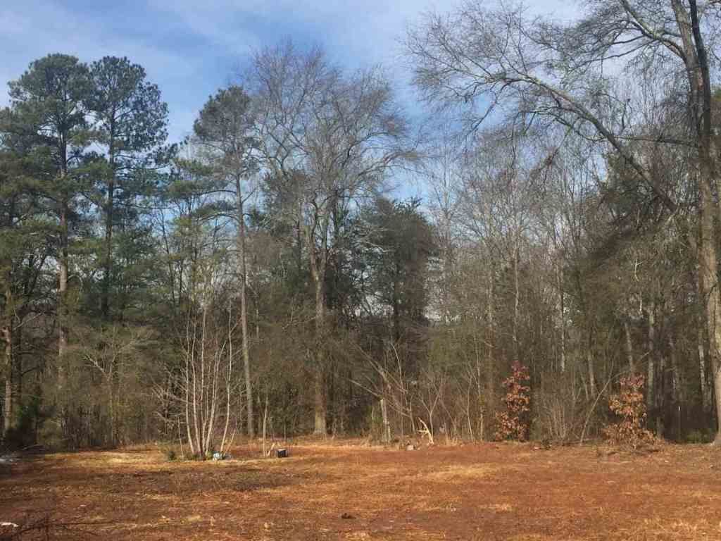 Property image 3 at 214 Lakeview Drive, Townville, SC 29689