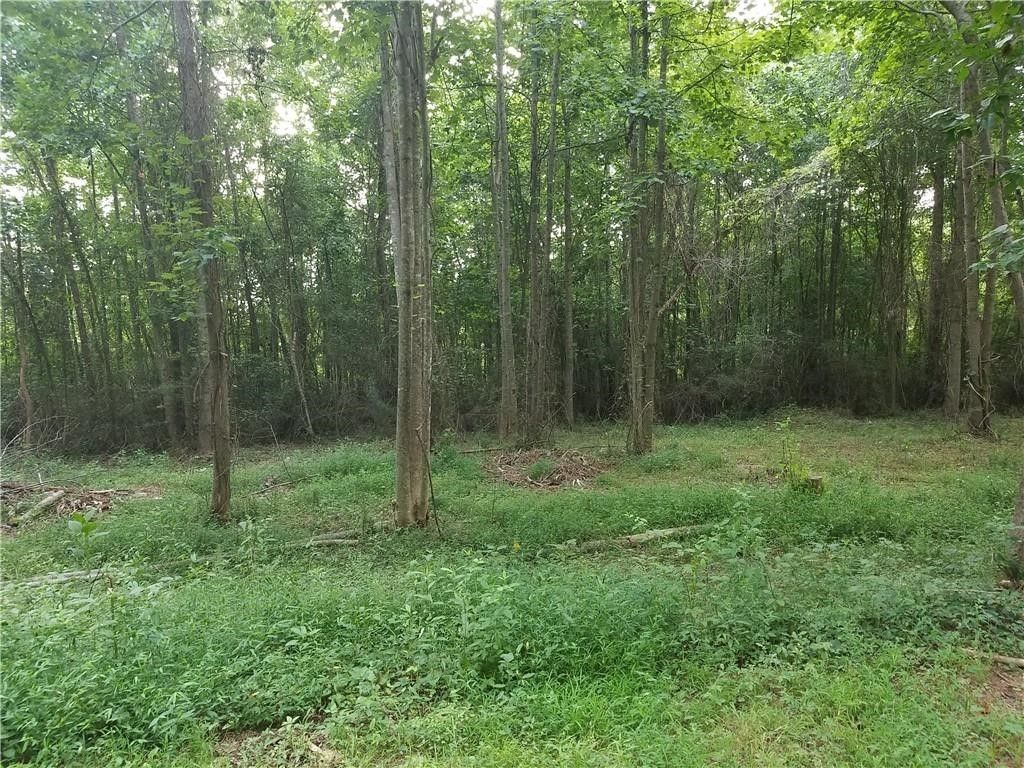 Property image 4 at 00 Lone Oak Road, Anderson, SC 29621