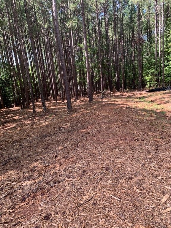 Property image 4 at 124 Waterside Drive, Iva, SC 29655