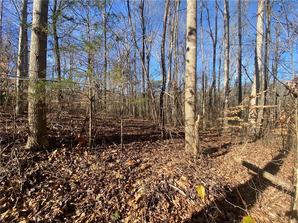 Property image 3 at Lots 29 & 30 Timberlake One Circle, Seneca, SC 29678