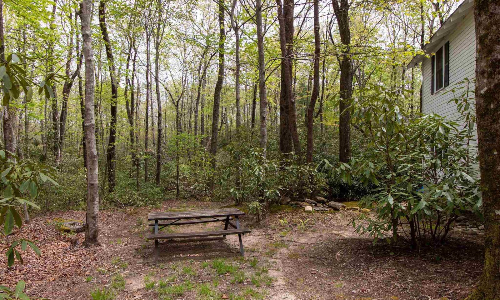 Property image 4 at 106 Mountain Laurel, Cleveland, SC 29635