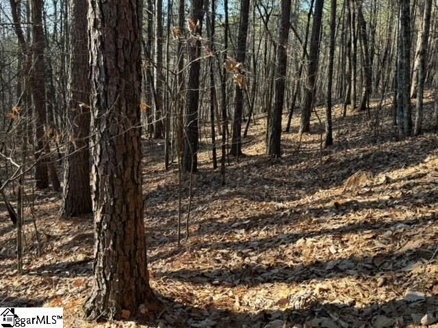 Property image 5 at Mountain Mint Way, Salem, SC 29676