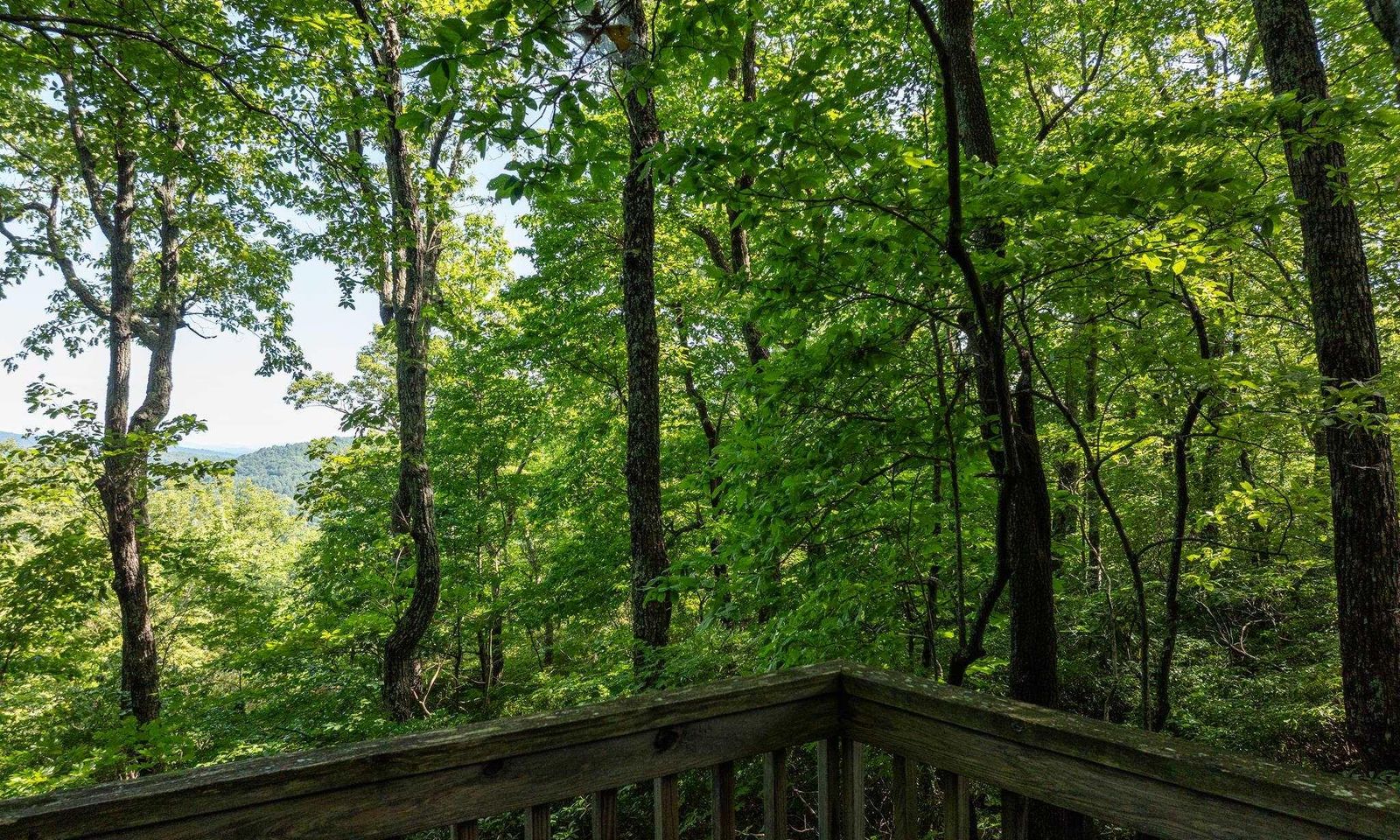 Property image 4 at 0 Panther Mountain Road, Zirconia, NC 28790