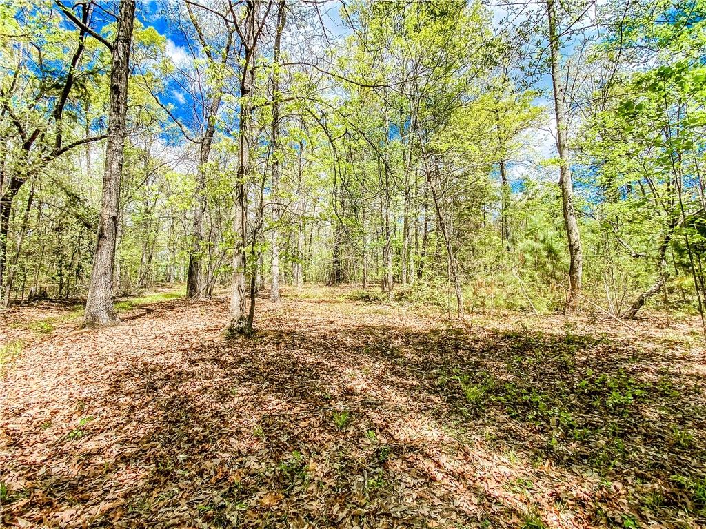 Property image 4 at 0 Hazelwood Way, Walhalla, SC 29691