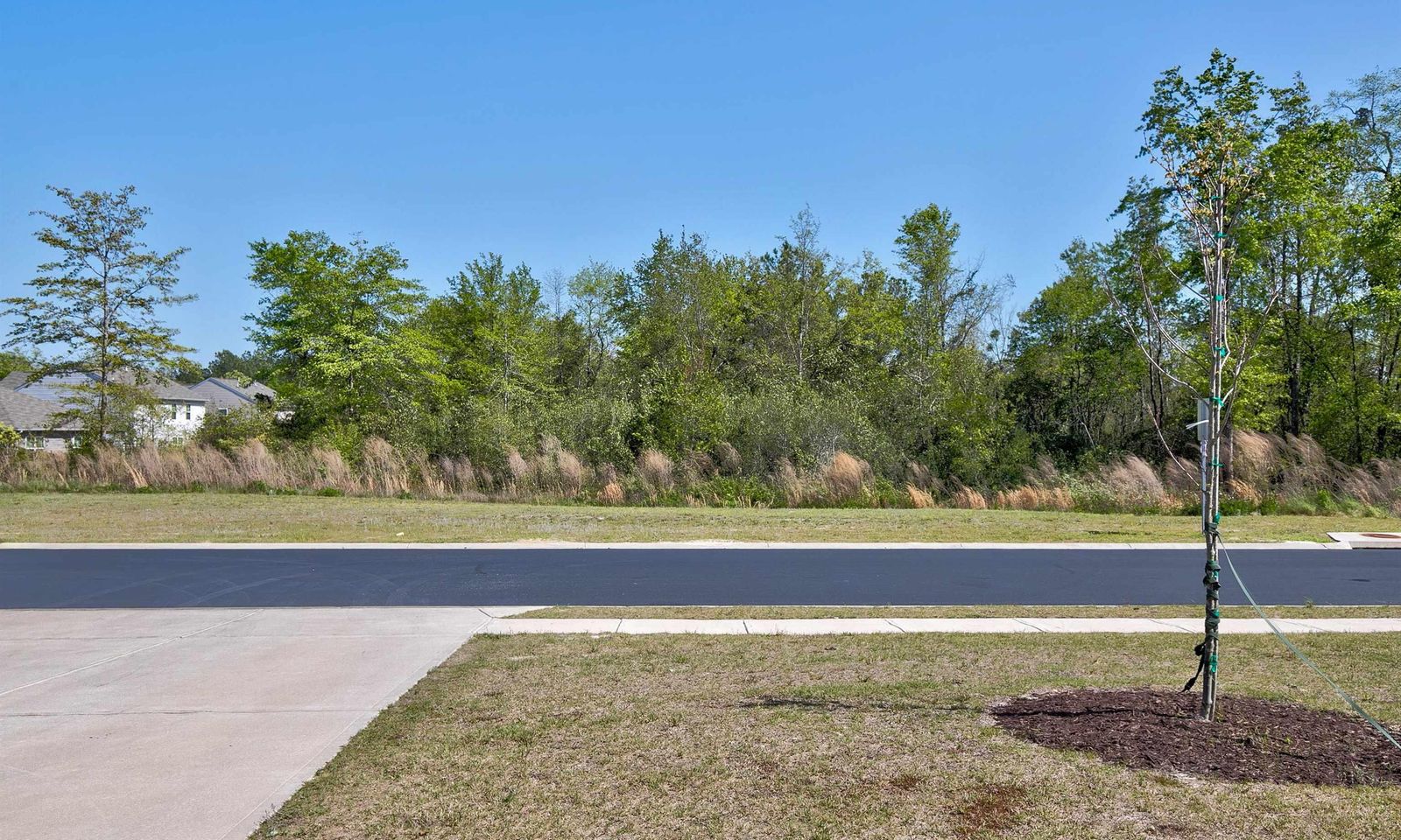 Property image 3 at 132 Carrington Drive, Lugoff, SC 29078