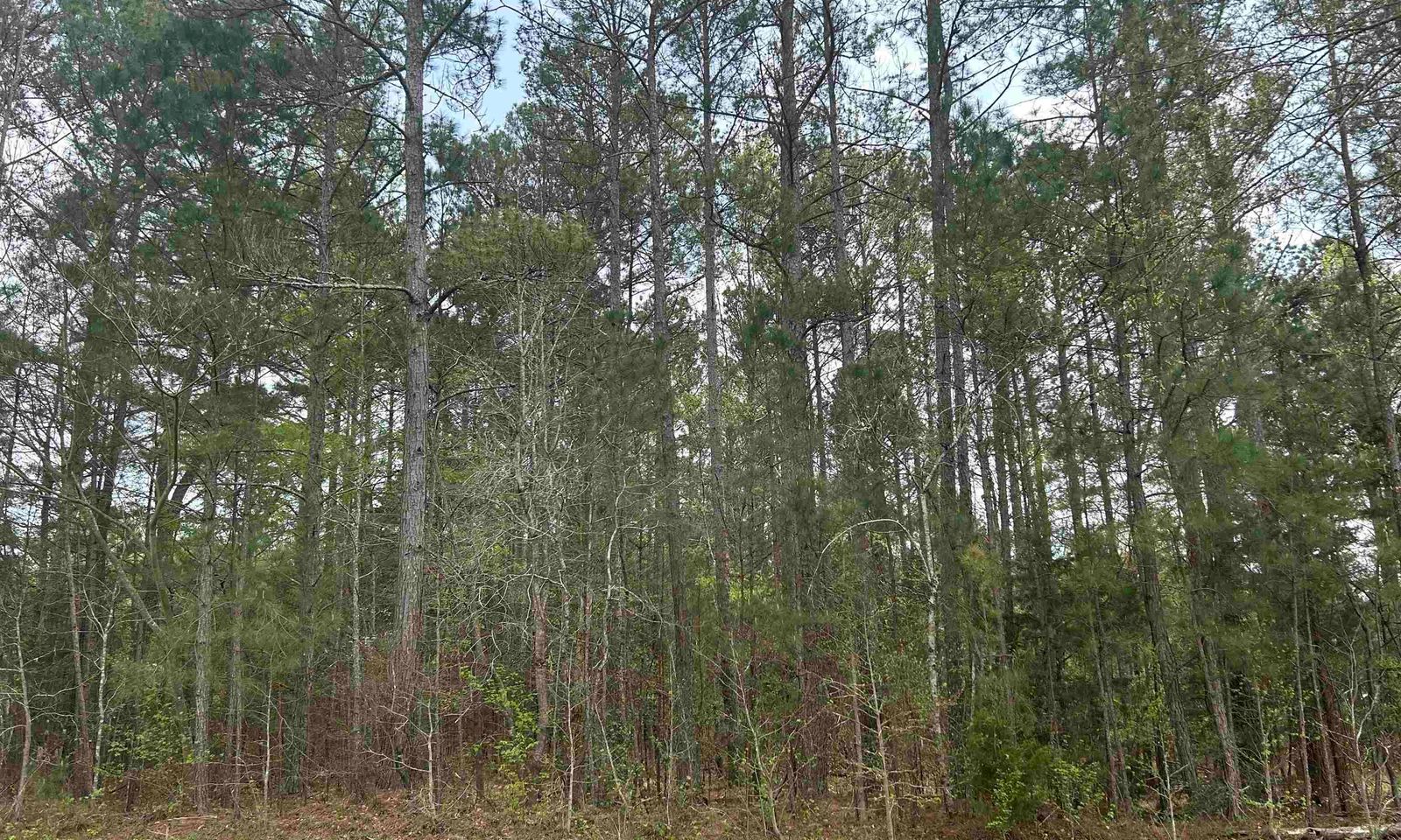 Main image of property at 0 Orleans Drive, Simpsonville, SC 29680