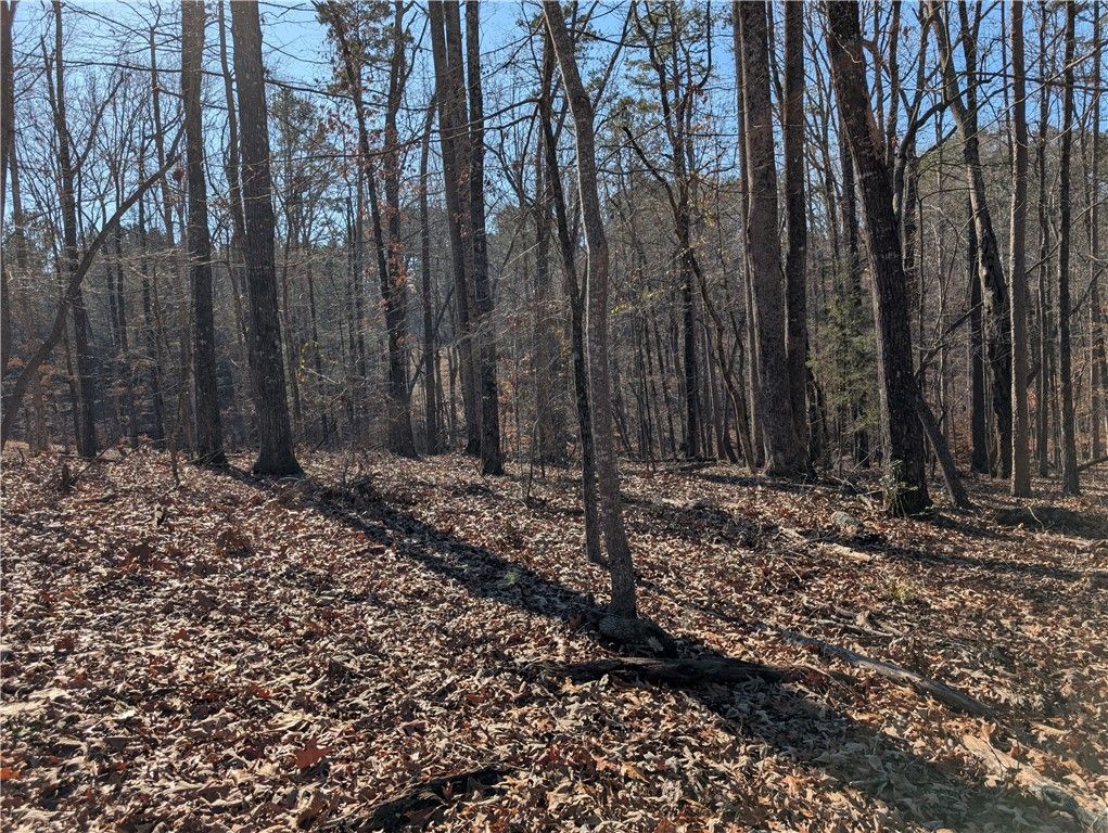 Property image 3 at Lot 2 Ferngrove Court, Seneca, SC 29672