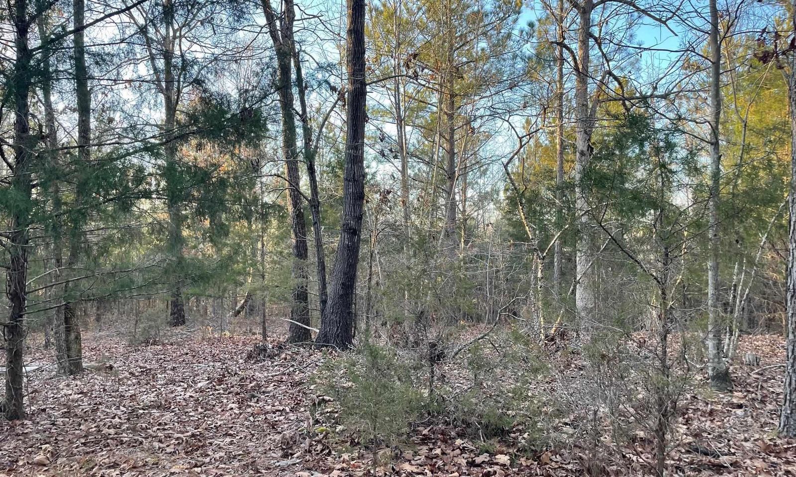 TRACT 2 SC Highway 219