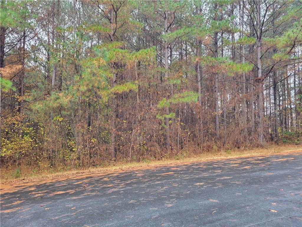 Property image 3 at 00 Meadow Road, Townville, SC 29689