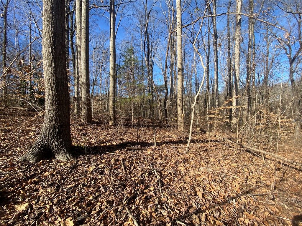 Property image 1 at Lots 29 & 30 Timberlake One Circle, Seneca, SC 29678