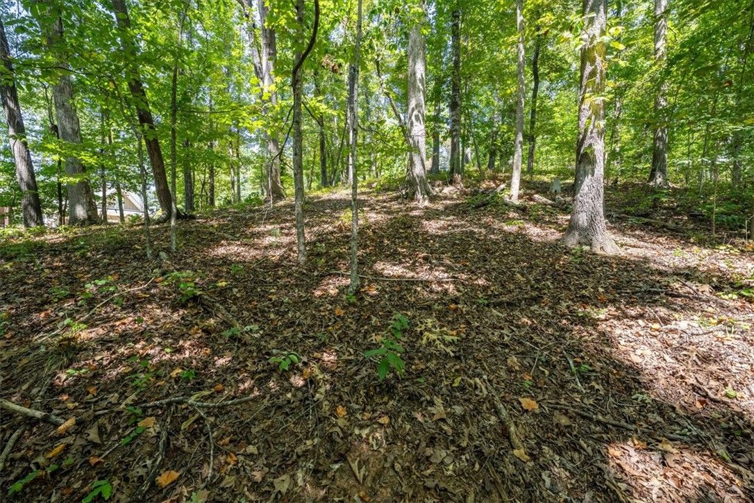 Property image 5 at Lot 30 Great Oak Way, Seneca, SC 29672