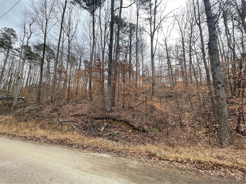 Property image 3 at 18 Buckskin Trail, Martin, GA 30557