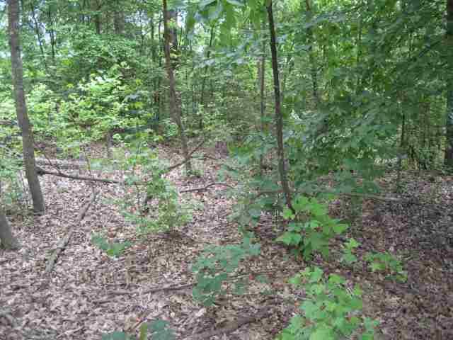 Property image 5 at 4 Friendship Point, Seneca, SC 29678