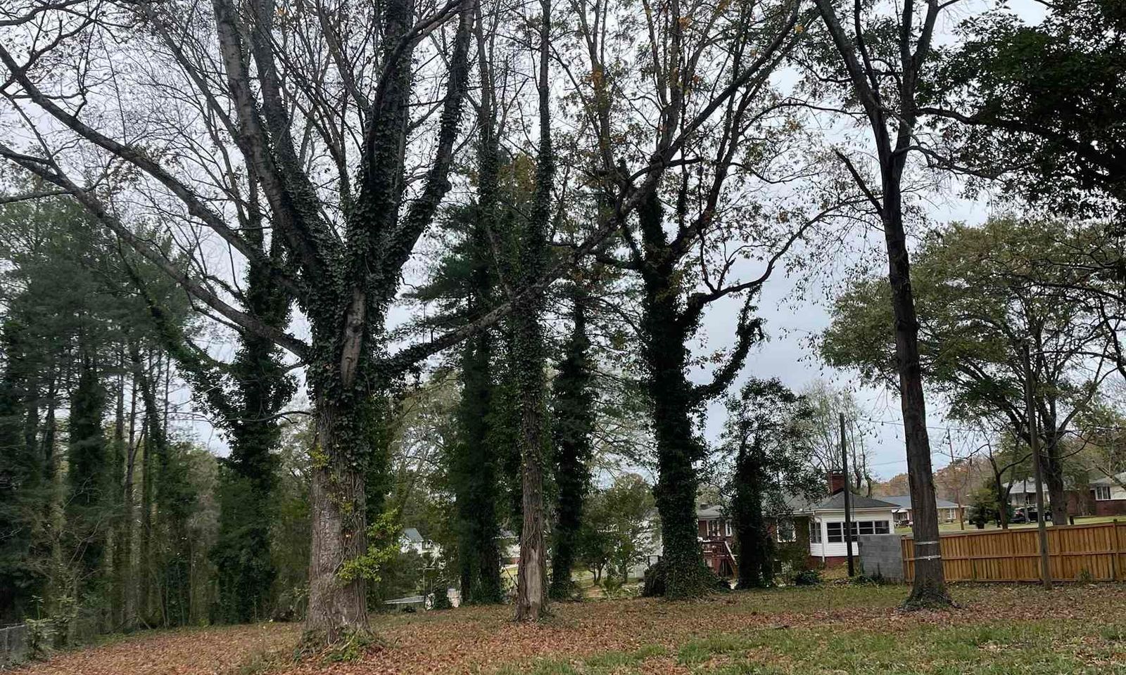 Property image 4 at 2502 Old Easley Bridge Road, Greenville, SC 29611