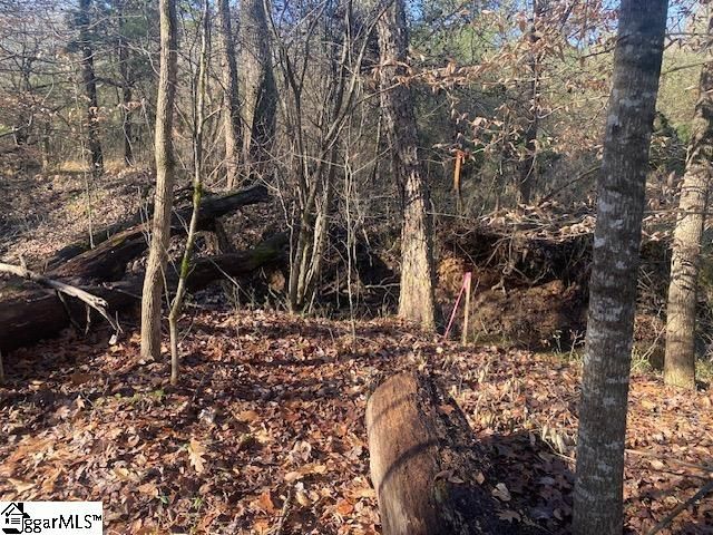Property image 5 at 105 Dogleg Drive, Laurens, SC 29360