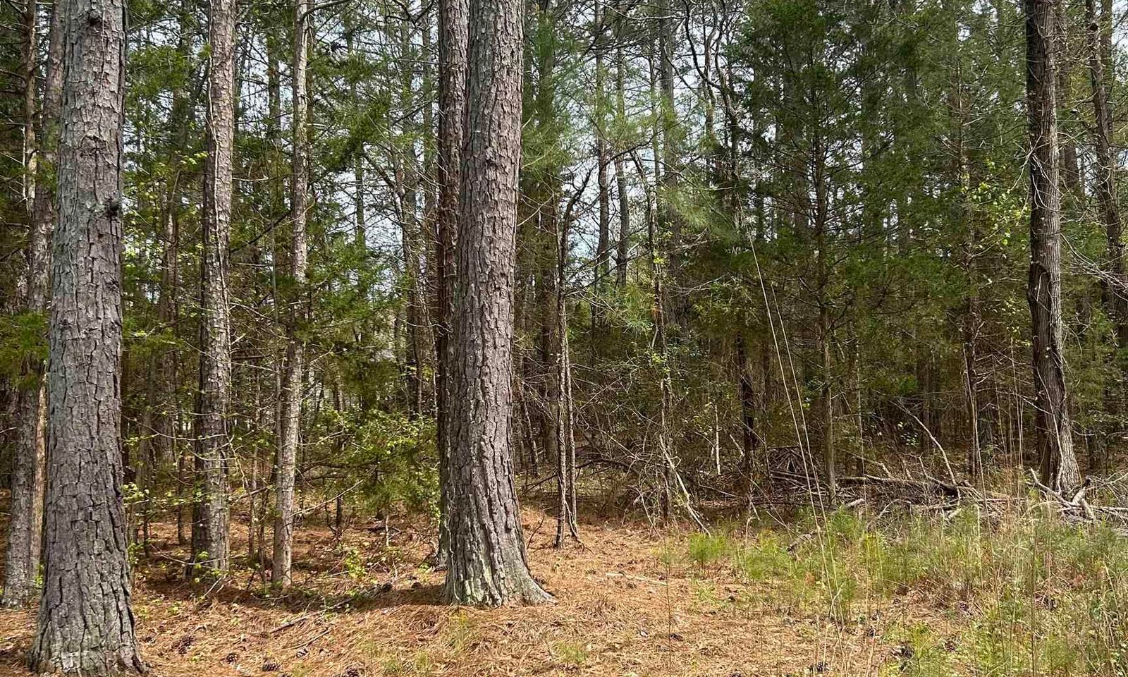 Property image 3 at 0 Orleans Drive, Simpsonville, SC 29680