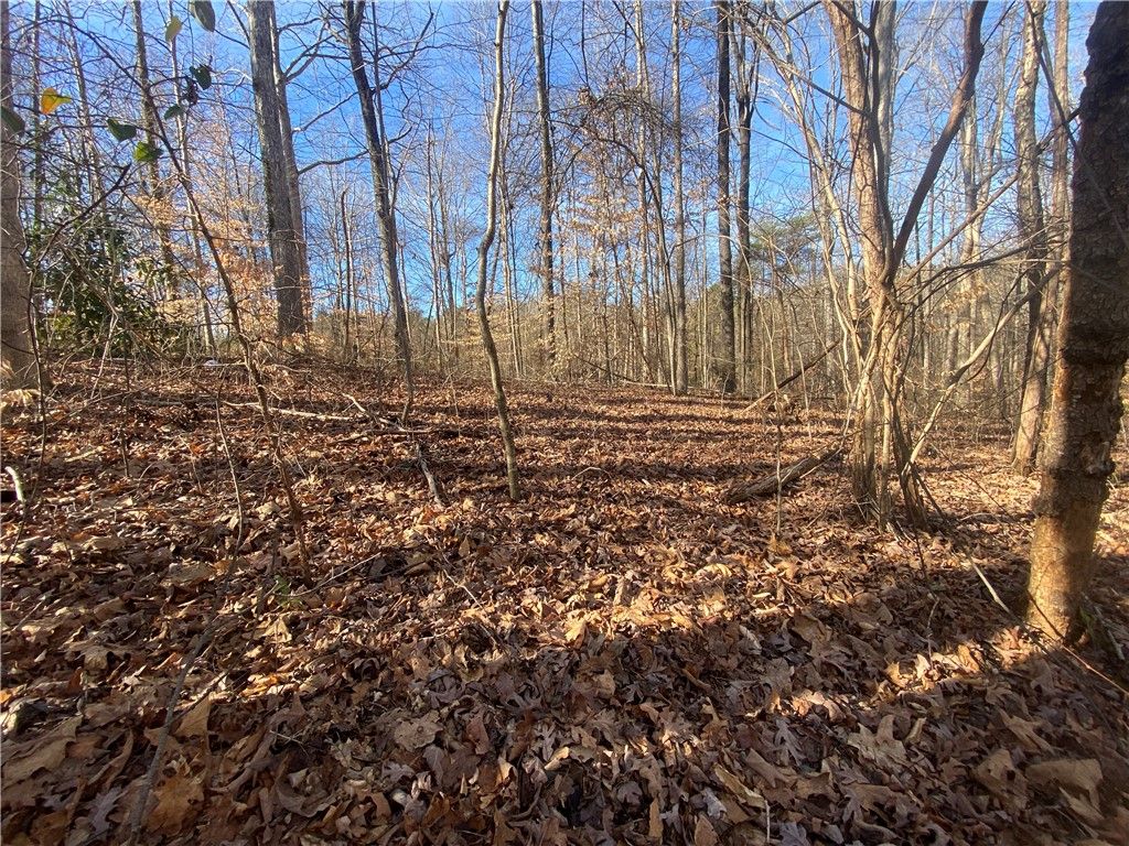 Property image 5 at Lots 29 & 30 Timberlake One Circle, Seneca, SC 29678