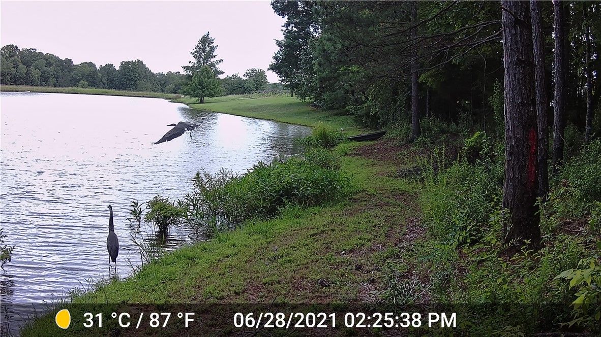 Property image 2 at 31 Tullamore Trail, Abbeville, SC 29620