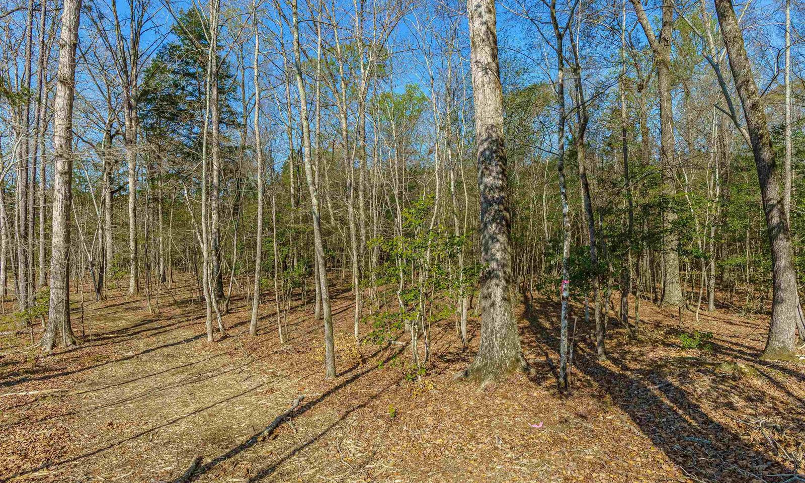Property image 5 at Parcel A Grover Wilson Road, Blythewood, SC 29016
