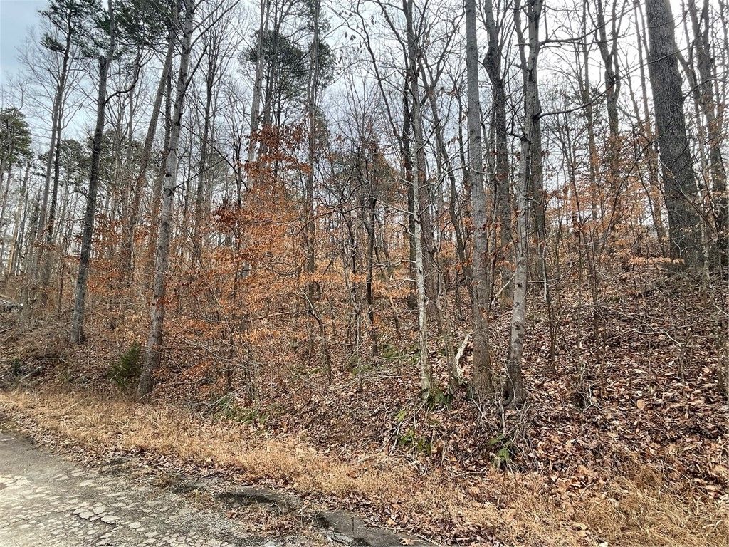 Property image 4 at 18 Buckskin Trail, Martin, GA 30557