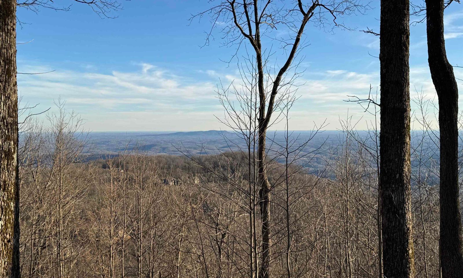 Property image 3 at 278 Bella Vista Court, Zirconia, NC 28790