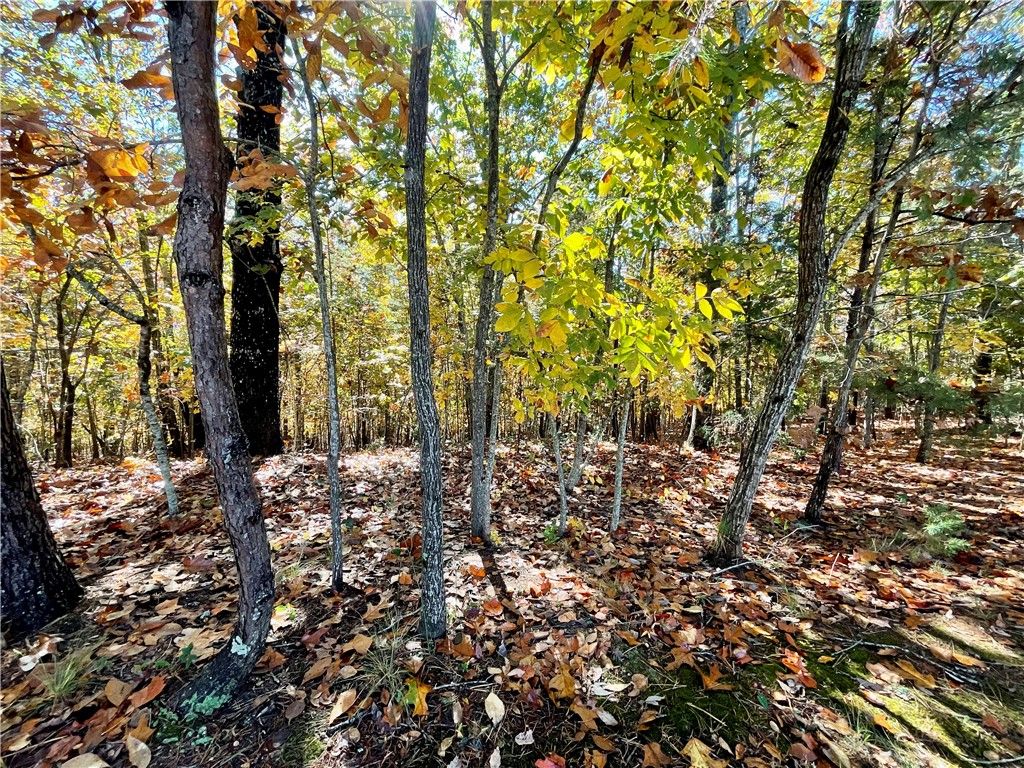 Property image 2 at 203 Long View Court, Pickens, SC 29671