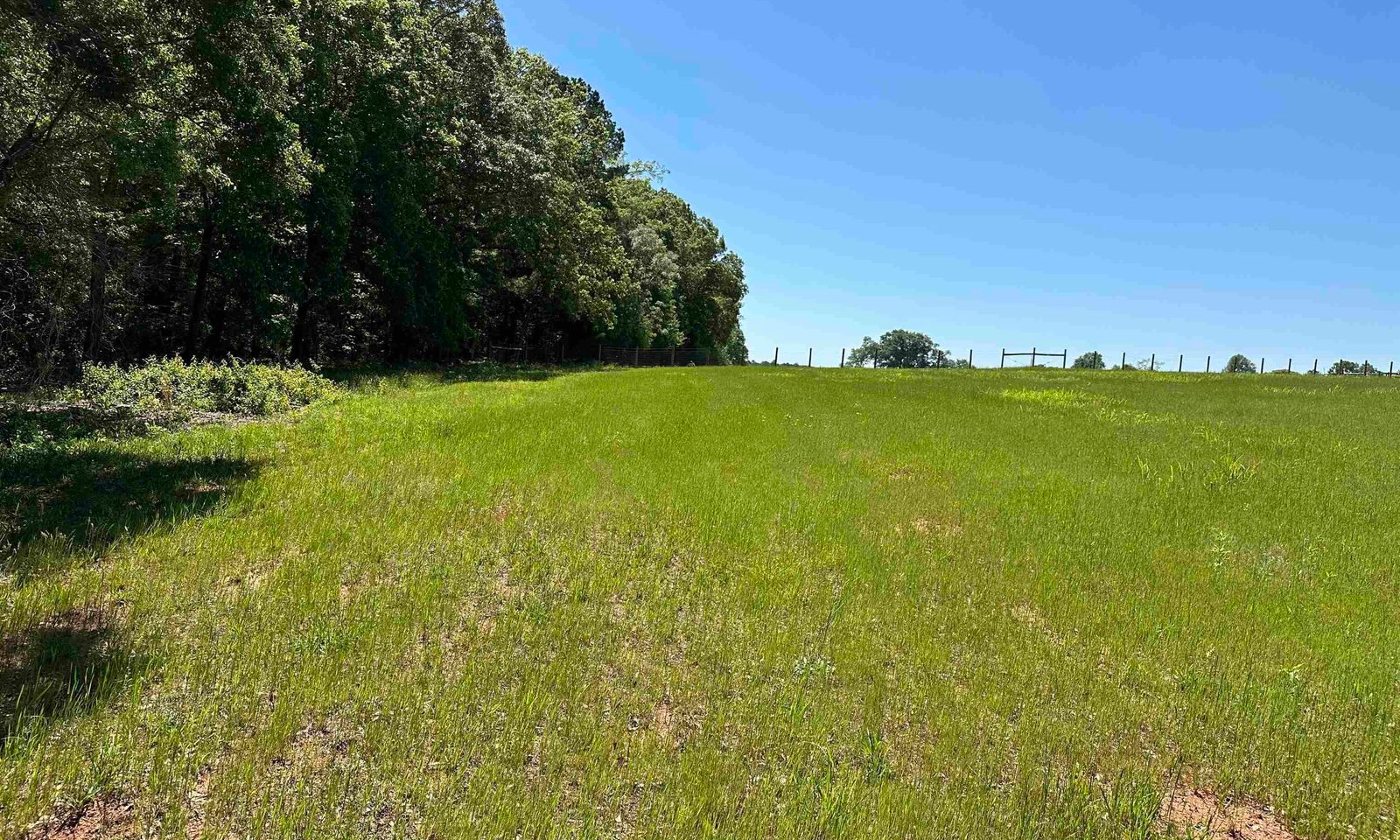 Property image 3 at 0 Jolly Wingo Road, Pendleton, SC 29670