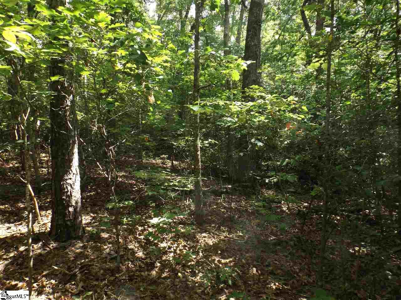 Property image 2 at 210 Cherokee Hills Drive, Pickens, SC 29671