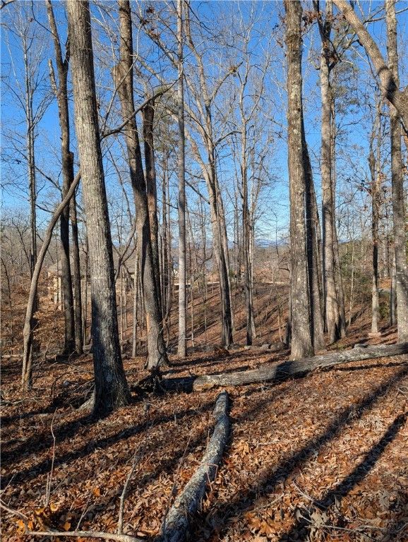 Property image 2 at Lot 2 Ferngrove Court, Seneca, SC 29672