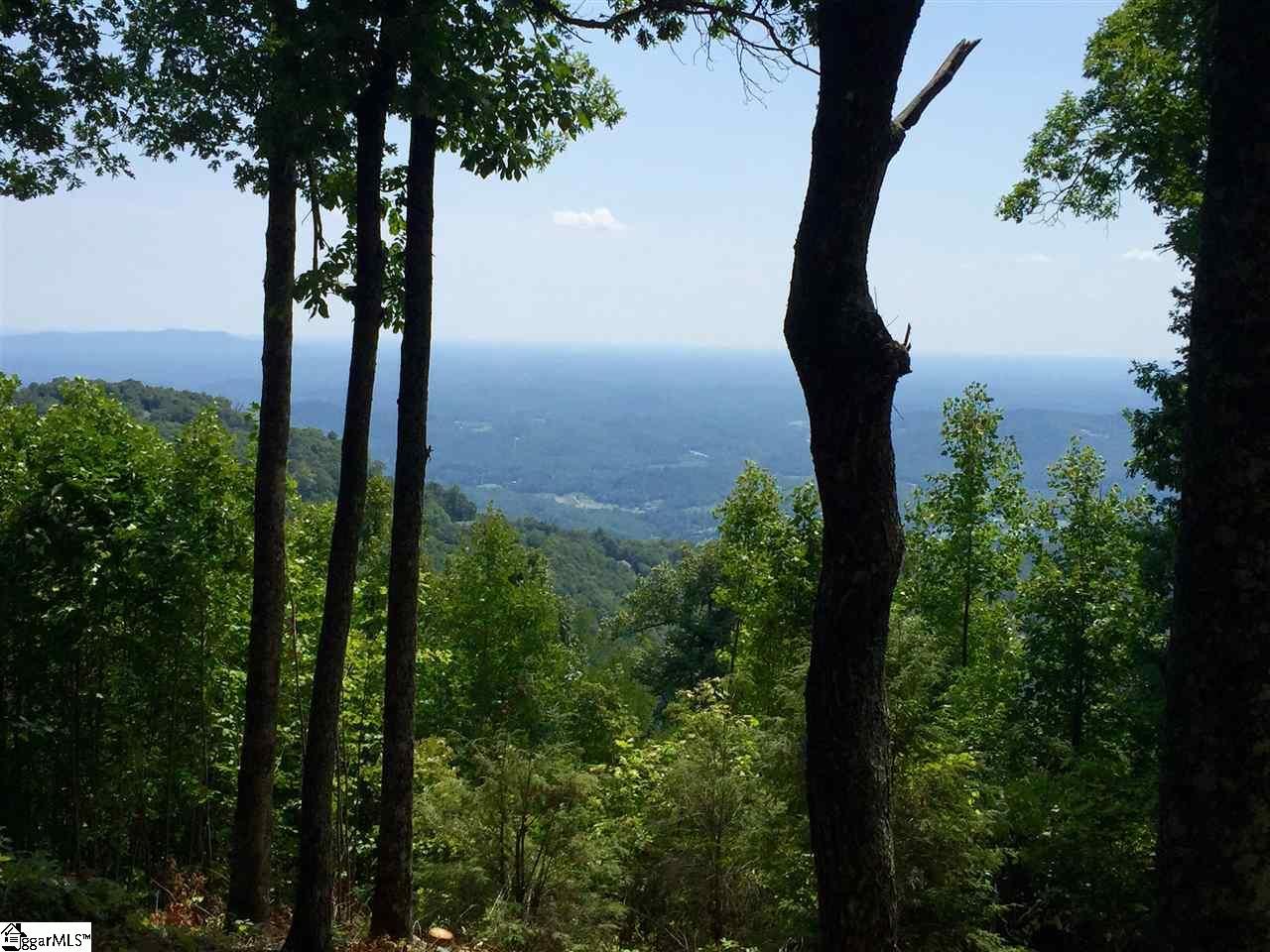 Property image 4 at 246 Bella Vista Court, Zirconia, NC 28790