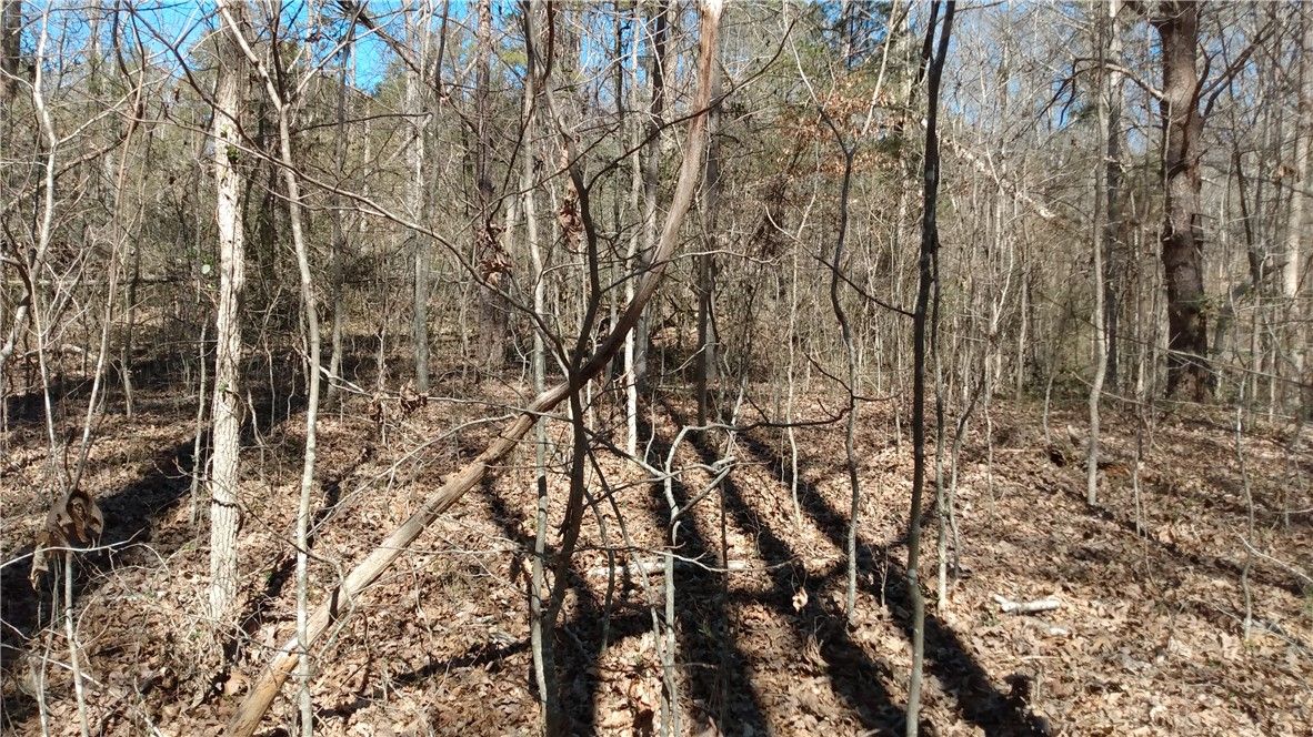 Property image 5 at 102 S Century Drive, Martin, GA 30557