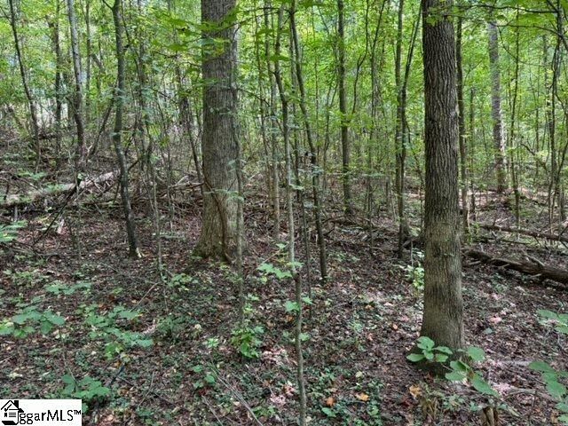 Property image 5 at Christie Drive, Taylors, SC 29687