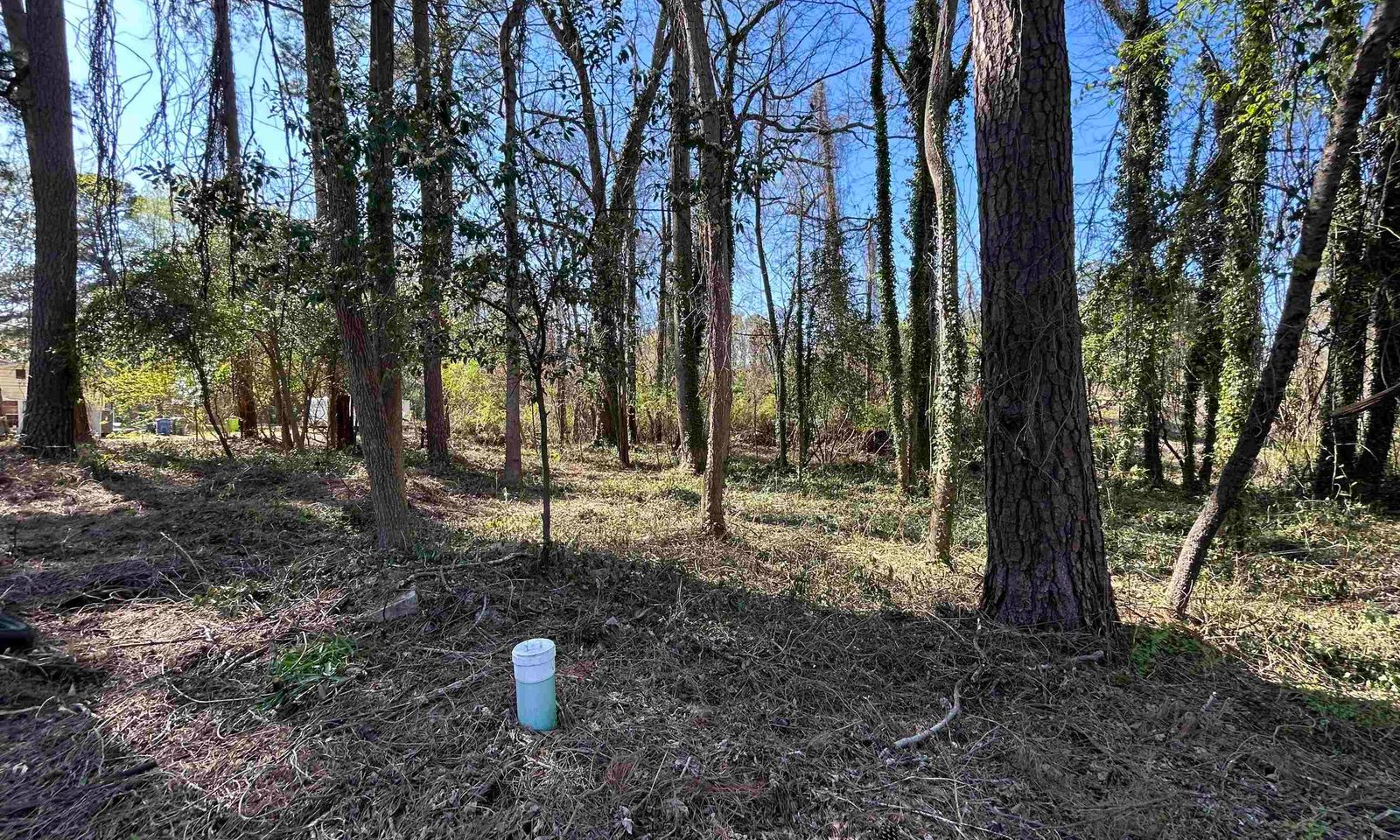 Property image 5 at 305 Bertha Avenue, Columbia, SC 29203
