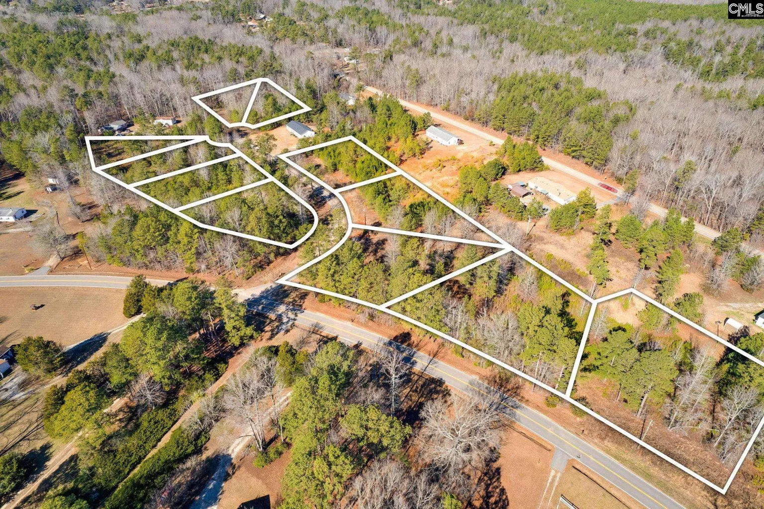 Longleaf