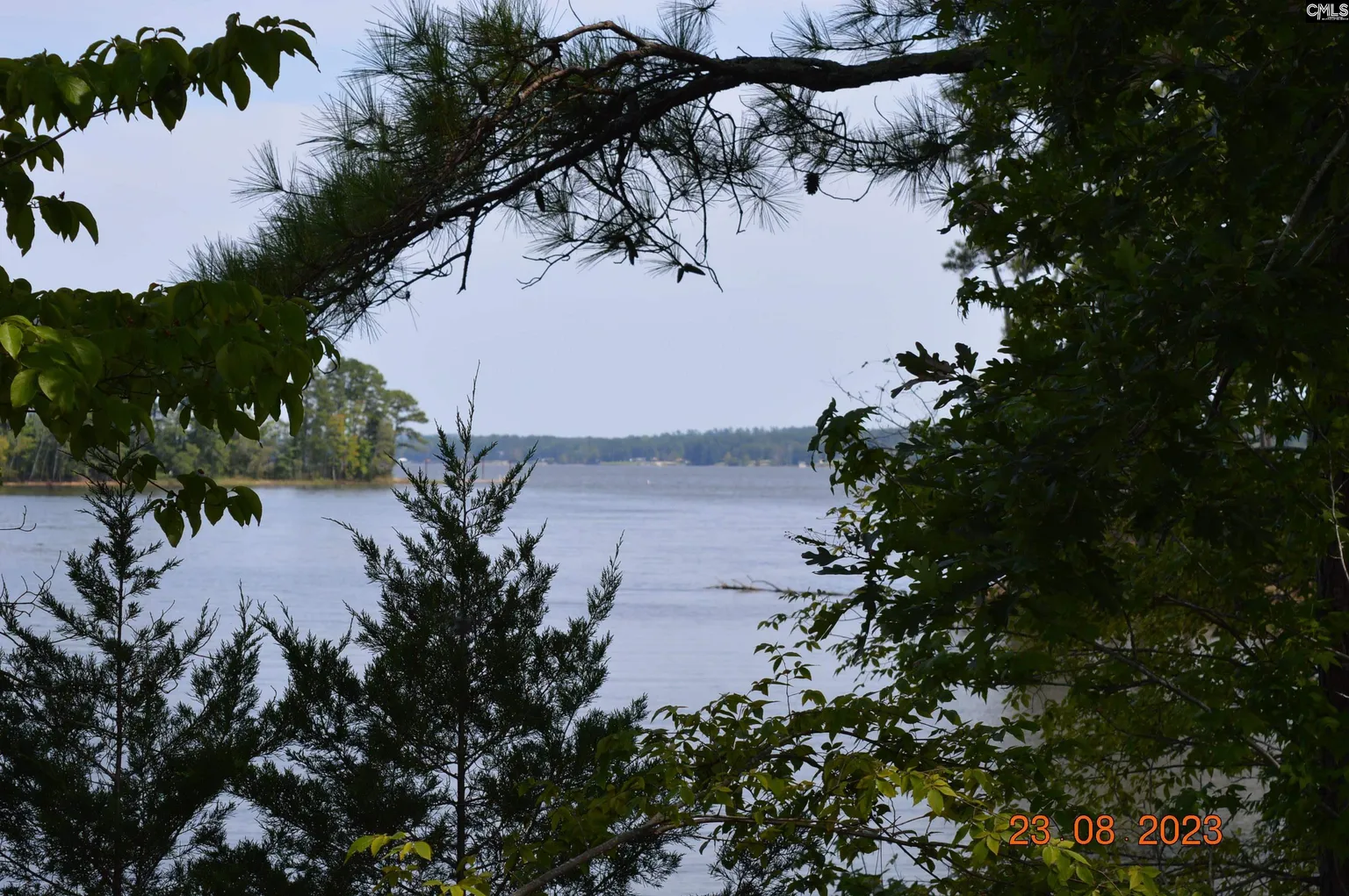 Lake Wateree - The Woods