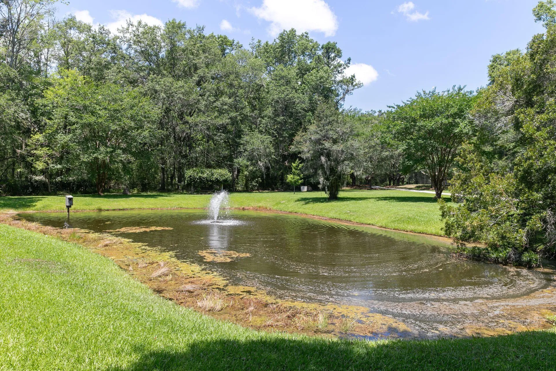 Property image 4 at 1972 Long Creek Road, Wadmalaw Island, SC 29487