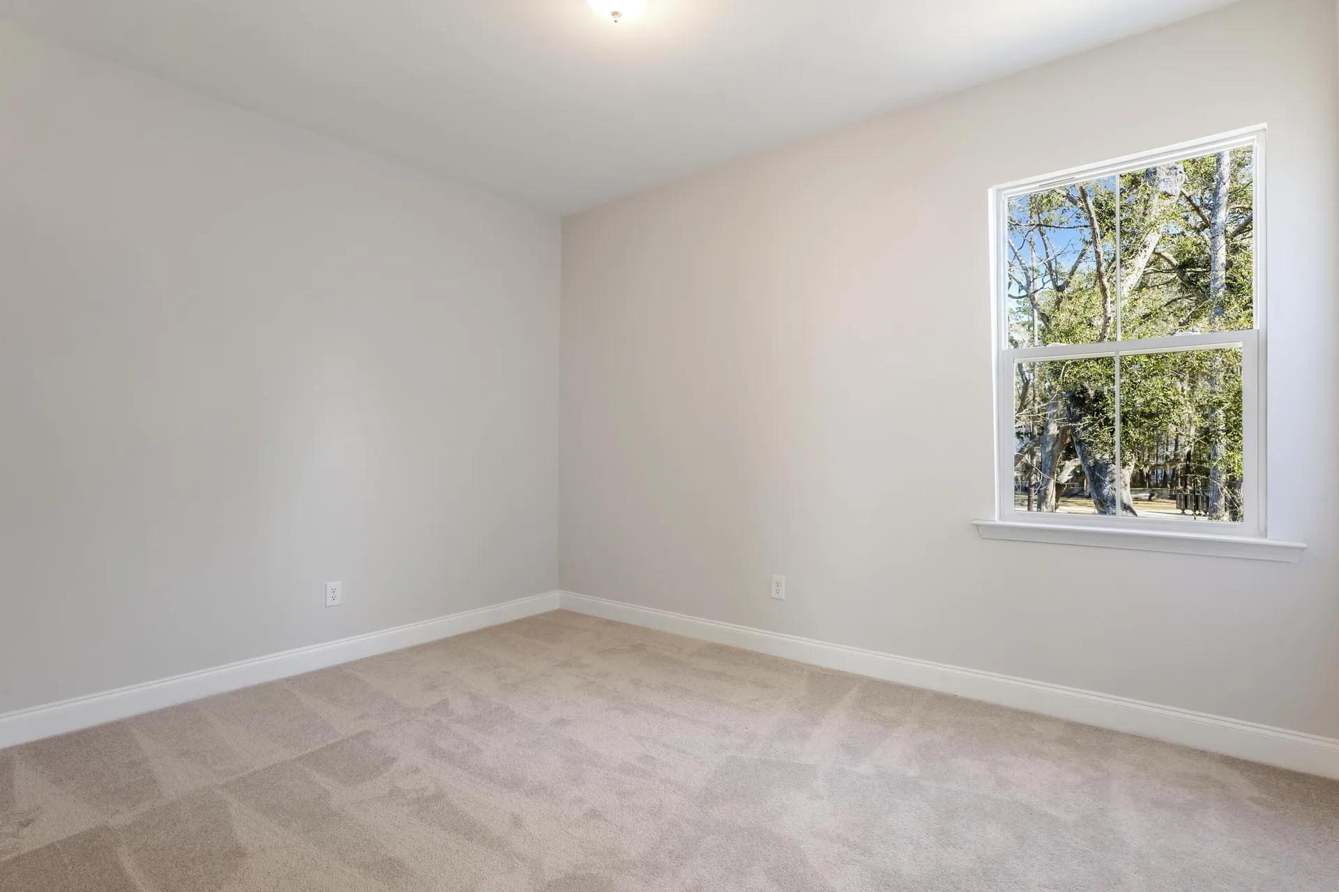 Property image 2 at 195 Claret Cup Way, Charleston, SC 29414