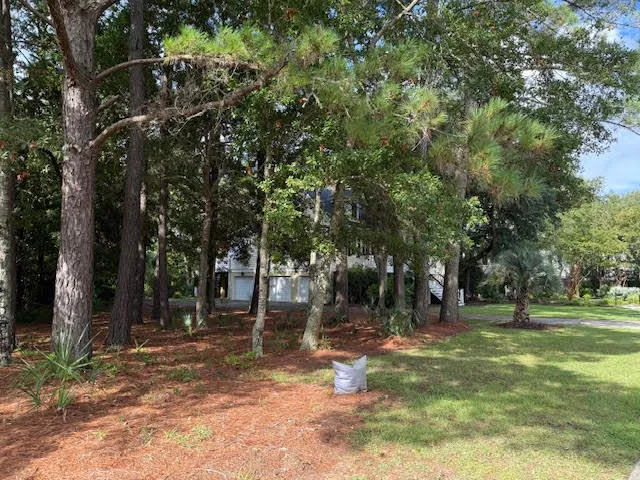 Property image 5 at 1501 Rice Marsh Court, Mount Pleasant, SC 29466
