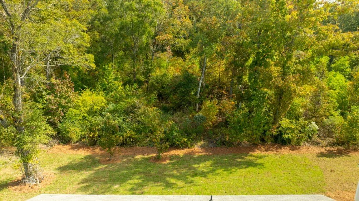 Property image 2 at 373 Willows Crescent Drive, Moncks Corner, SC 29461
