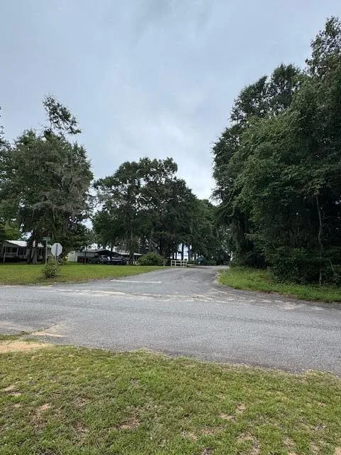 Property image 3 at 1137 Rugby Avenue, Summerton, SC 29148