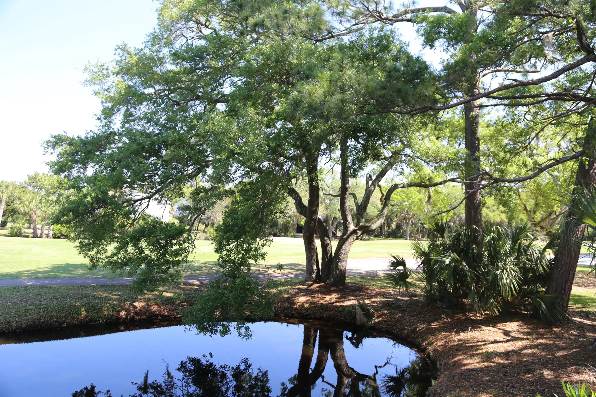 Property image 4 at 248 Driftwood Lane, Edisto Island, SC 29438