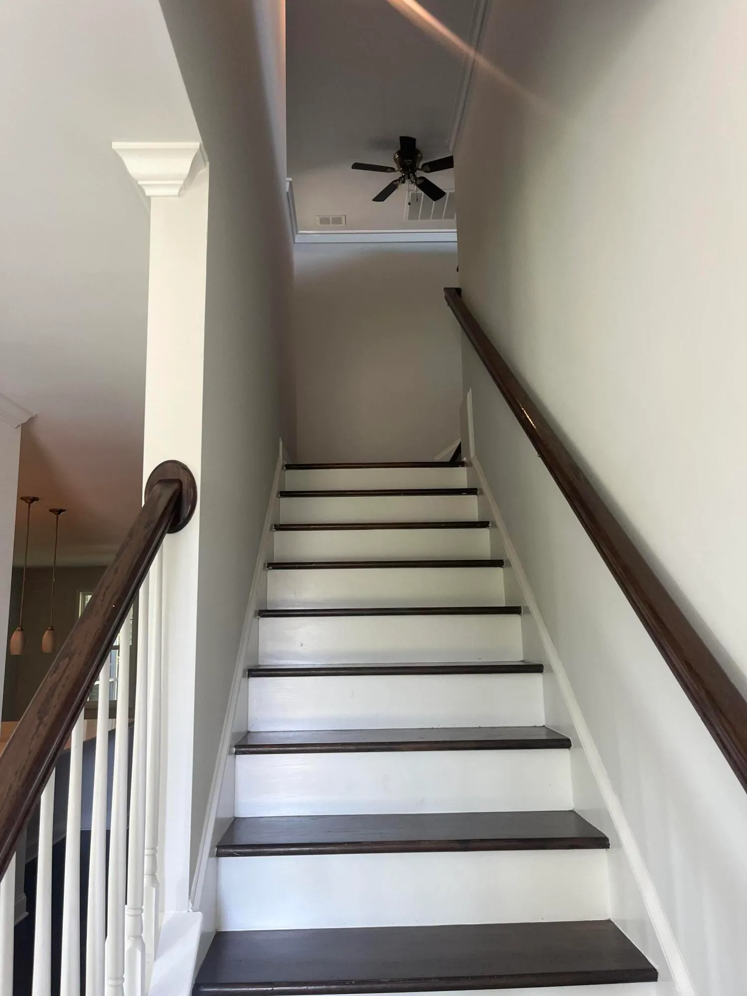 Property image 5 at 421 Turnstone Street, Mount Pleasant, SC 29464