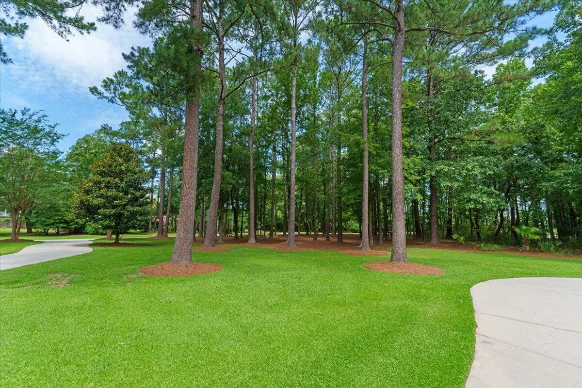 Property image 5 at 3171 Pignatelli Crescent, Mount Pleasant, SC 29466