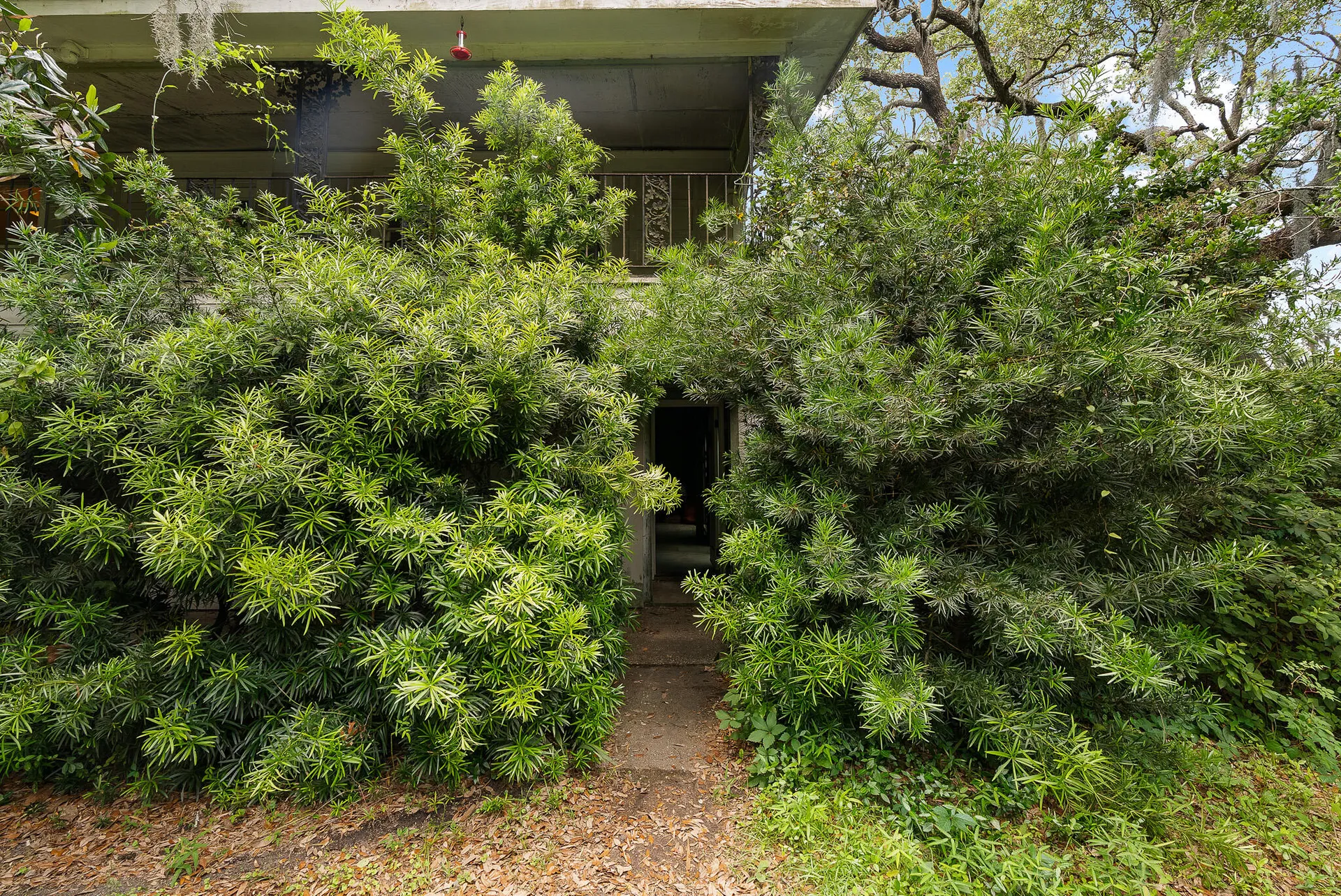 Property image 4 at 2180 Wappoo Hall Road, Charleston, SC 29412