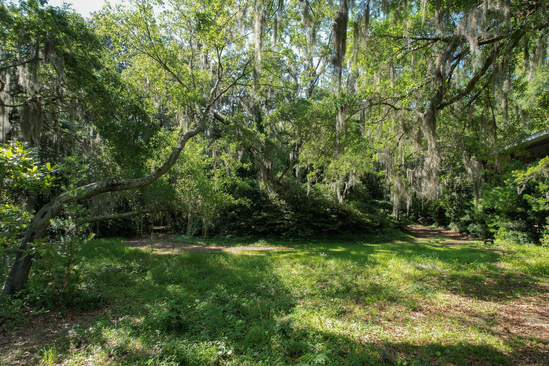 Property image 5 at 2180 Wappoo Hall Road, Charleston, SC 29412